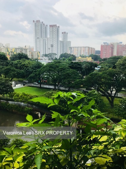 The Crest thumbnail photo